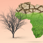 In late March 2025, the private spaceflight sector reached a major milestone. SpaceX’s Fram2 mission, launched from NASA’s Kennedy Space Center, became the first crewed mission to achieve polar orbit—a trajectory that passes directly over the Earth’s poles, historically used only by reconnaissance or environmental satellites. The four-person crew was composed entirely of private astronauts: Maltese investor Chun Wang, cinematographer Jannicke Mikkelsen, robotics researcher Rabea Rogge, and polar explorer Eric Philips. During their four-day journey aboard the Crew Dragon capsule, they conducted 22 experiments related to human physiology and captured never-before-seen images of the Earth’s polar regions. One particularly striking outcome: the crew returned in excellent health and walked unassisted upon landing—a sign that commercial flight profiles may soon support even longer-duration missions . The Economic Lift-Off of Private Spaceflight The Fram2 mission underscores a profound transformation: space is no longer the sole domain of governments. With SpaceX, Axiom Space, Blue Origin, and others stepping in, a new multi-billion-dollar private space economy is emerging. Analysts at Morgan Stanley forecast the space economy could surpass $1 trillion by 2040, with space tourism and passenger travel alone representing $300 billion of that total. Lower launch costs—thanks to reusable rockets pioneered by SpaceX—and increasing investor interest are rapidly commercializing low-Earth orbit, according to Reuters. Private missions, like Fram2, also introduce alternative funding models. Instead of state budgets, missions may be bankrolled by private individuals or organizations in exchange for branding rights, research opportunities, or venture exposure. Technology That’s Fueling—and Fueled By—Space Tourism As space tourism becomes more frequent, the required technological advancements are transforming industries well beyond aerospace. Missions like Fram2 rely on AI-based diagnostics and navigation, lightweight composite materials, robotic assistants for microgravity experiments, and advanced crew monitoring and recovery protocols. These innovations are also being adapted for use in sectors like healthcare, autonomous vehicles, and defense systems, according to NASA. More futuristic developments are underway as well. SpaceX and other private entities are now collaborating on commercial space stations like Orbital Reef and Axiom Station, designed not only for science but also for tourism, media, and even manufacturing. The Future of Space Travel and Tourism Democratization or Stratification? At present, ticket prices for spaceflights still exceed $50 million per seat, available only to the ultra-wealthy. But as technology advances and competition increases, pricing is expected to fall, possibly following the trajectory of early commercial aviation, according to CNBC. This shift could eventually open the door to scientists, educators, filmmakers, and civilians from less privileged backgrounds. The space economy might democratize—or deepen global divides—depending on how infrastructure, subsidies, and regulatory norms evolve. A Global Ground Game: Spaceports and Supply Chains To support this new industry, governments and companies worldwide are racing to build spaceports and reentry hubs. The Federal Aviation Administration licensed 12 commercial spaceports in the U.S. alone in 2024, while the UAE, UK, and Australia have joined in with national programs to support launches and crewed missions. This expansion also feeds new opportunities across insurance, training, logistics, and hospitality—a ripple effect touching nearly every corner of the global economy. Human Resilience and Health Innovations Fram2's success in returning a healthy crew that could walk unassisted is more than a medical marvel—it could redefine rehabilitation and health protocols for future long-duration missions to the Moon, Mars, and beyond. There's already a push to apply insights from space medicine into telehealth, aging studies, and trauma recovery systems on Earth, according to Reuters. Ethical Frontiers in Space Commercialization As with any technological leap, private space exploration raises serious ethical questions. Who gets to access space? What are the ecological costs of rocket launches? Could lunar or Martian territories be unfairly claimed? Scholars are calling for a new ethical framework—one that blends scientific integrity, social responsibility, proportionality, and sustainability. A recent paper in Nature Communications argues for proactive guidelines around human subject research, environmental impacts, and equity in access. Without such frameworks, there’s a risk that the final frontier becomes a new venue for inequality, overreach, and ecological degradation. Final Note The Fram2 mission may go down in history as the Apollo moment for the commercial age—a proof-of-concept that private spaceflight is not only viable but potentially scalable. It also confirms that human spaceflight is on the verge of becoming an interdisciplinary, international, and investment-driven arena. Still, the future of space travel must be shaped by more than ambition. It will demand ethical foresight, regulatory coordination, and inclusivity, ensuring that this next great leap is not only profitable—but principled.