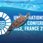 UNOC3 launches High Seas Treaty implementation, marking a new chapter in ocean governance globally