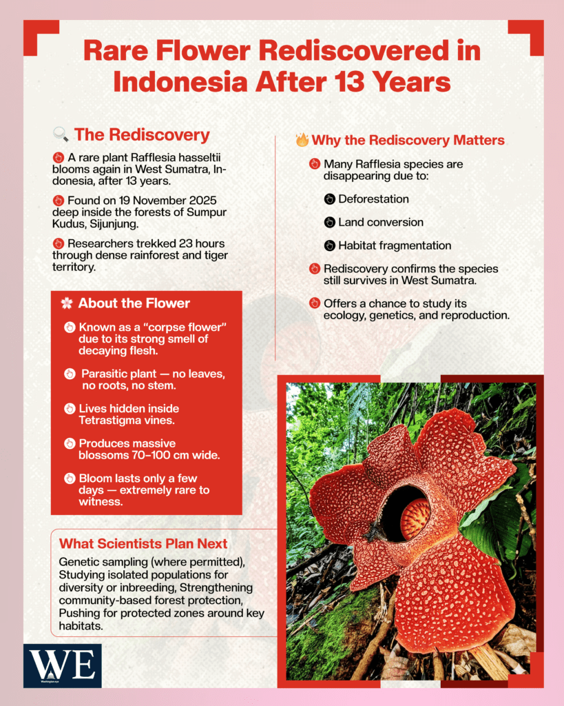 rare flower rediscovered in - info graphics final copy - washington eye