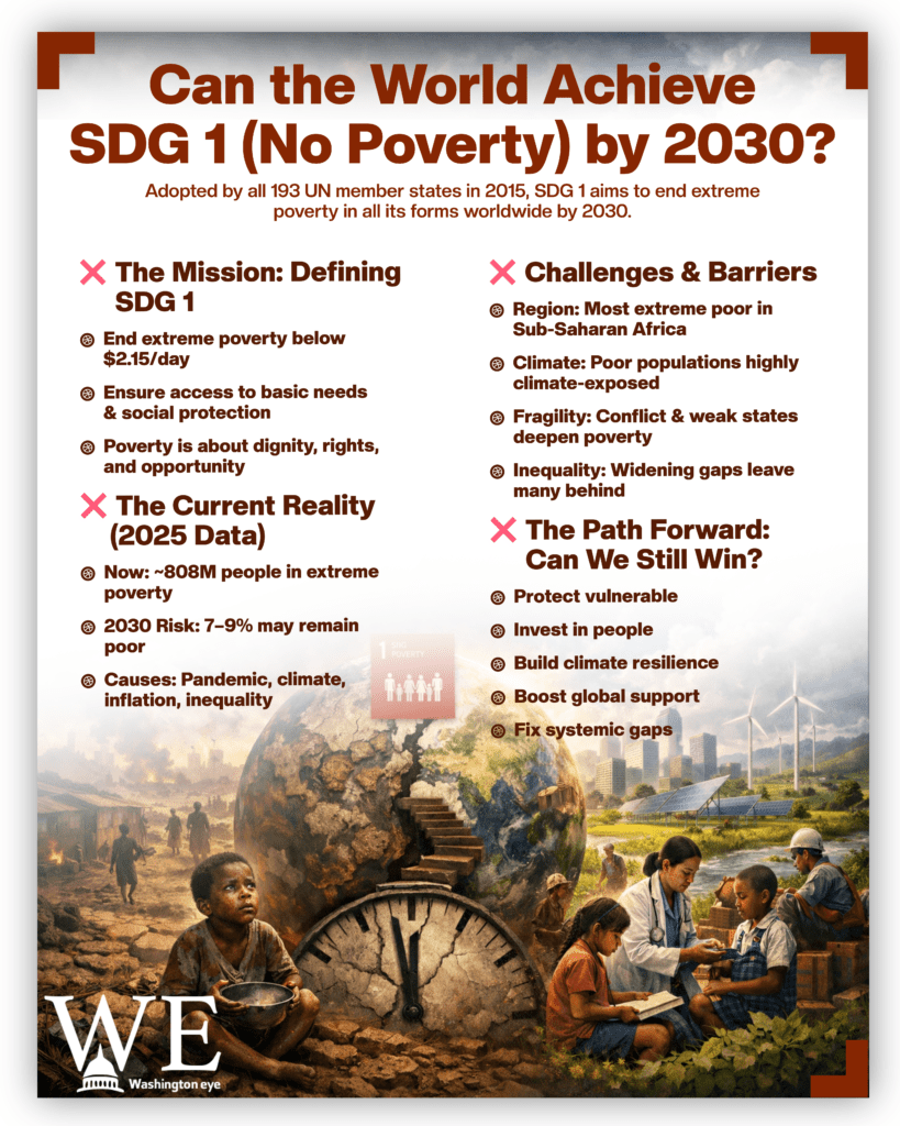 can the world still achieve sdg 1 by 2030 - info graphics copy - washington eye