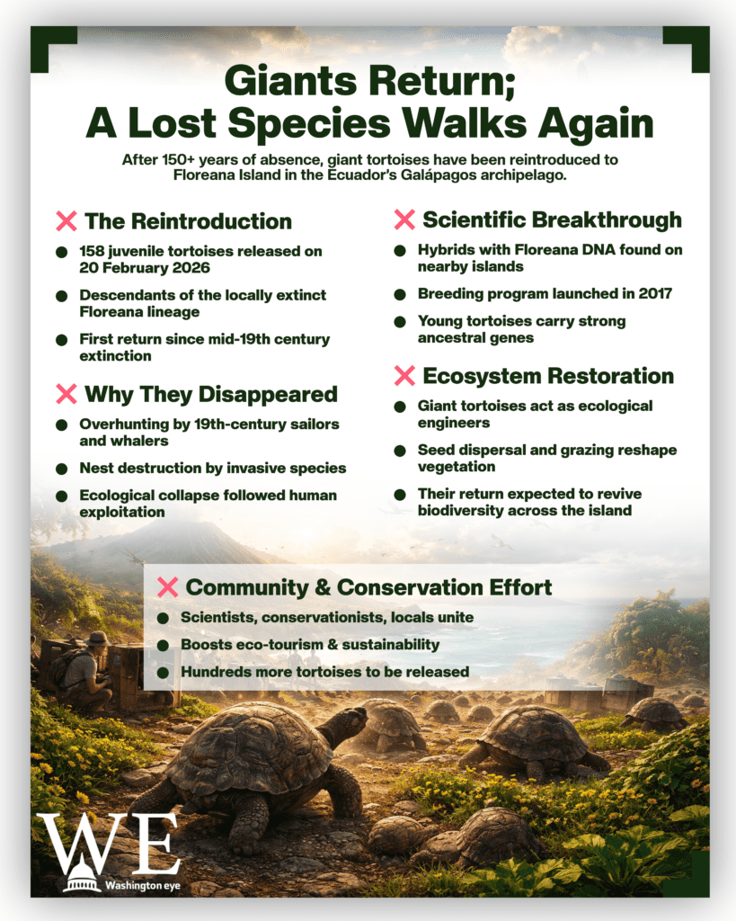 giant tortoises return to galápagos - info graphics copy - washington eye