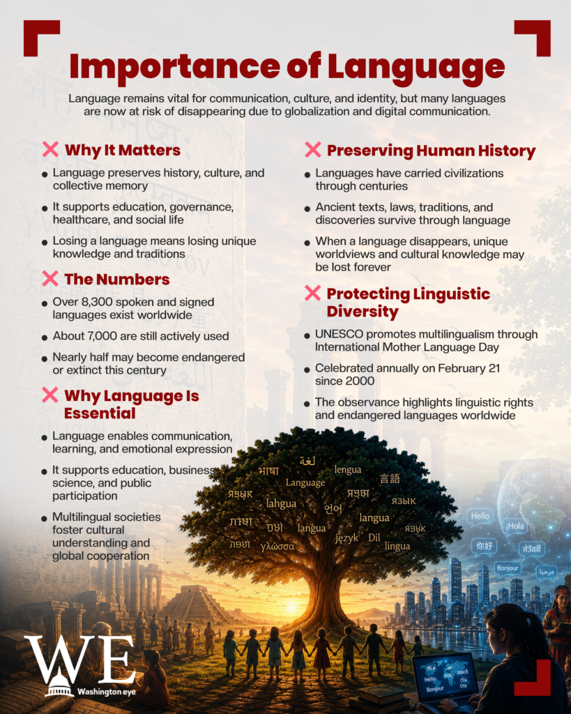 importance of language - info graphics copy - washington eye