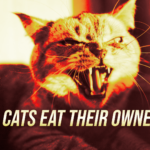 Angry cat snarling with visible fangs; bold poster text asks, 'Do cats eat their owners?'.Used as a sensational banner image.