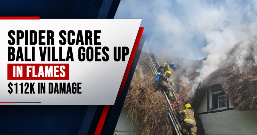 tourist accidentally burns down 2000 bali villa_infographic_1 - washington eye