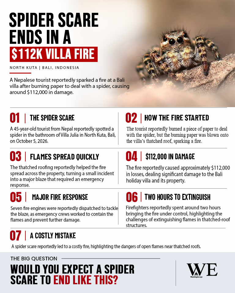 tourist accidentally burns down 2000 bali villa_infographic_2 - washington eye